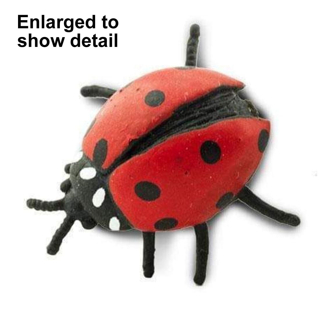 Ladybug Mini Figurine with the text Enlarged to Show Detail