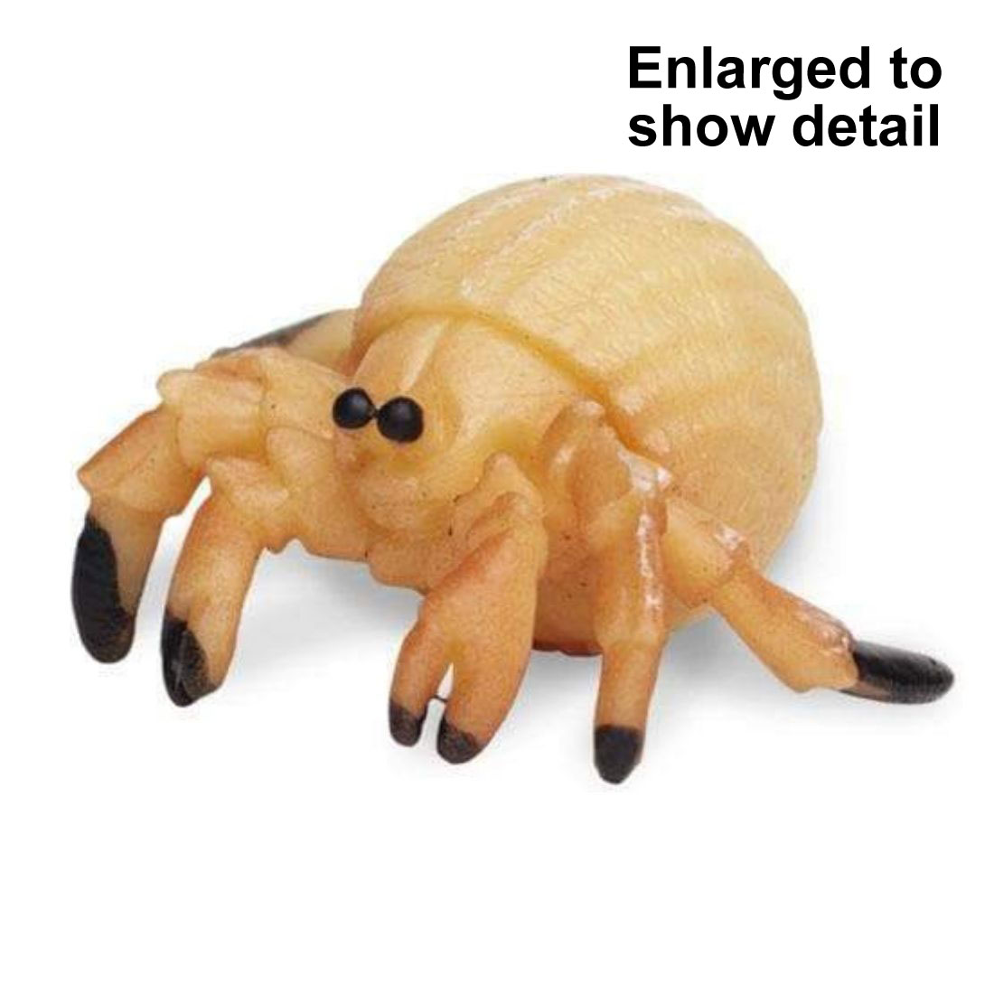 Hermit Crab Mini Figurine with the text Enlarged to Show Detail