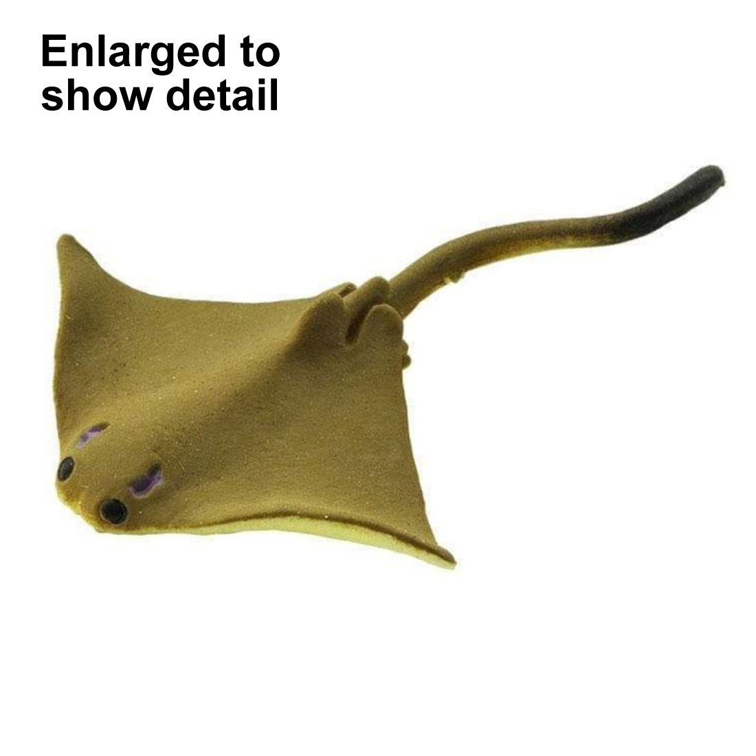 Cownose Ray Mini Figurine with the text Enlarged to Show Detail