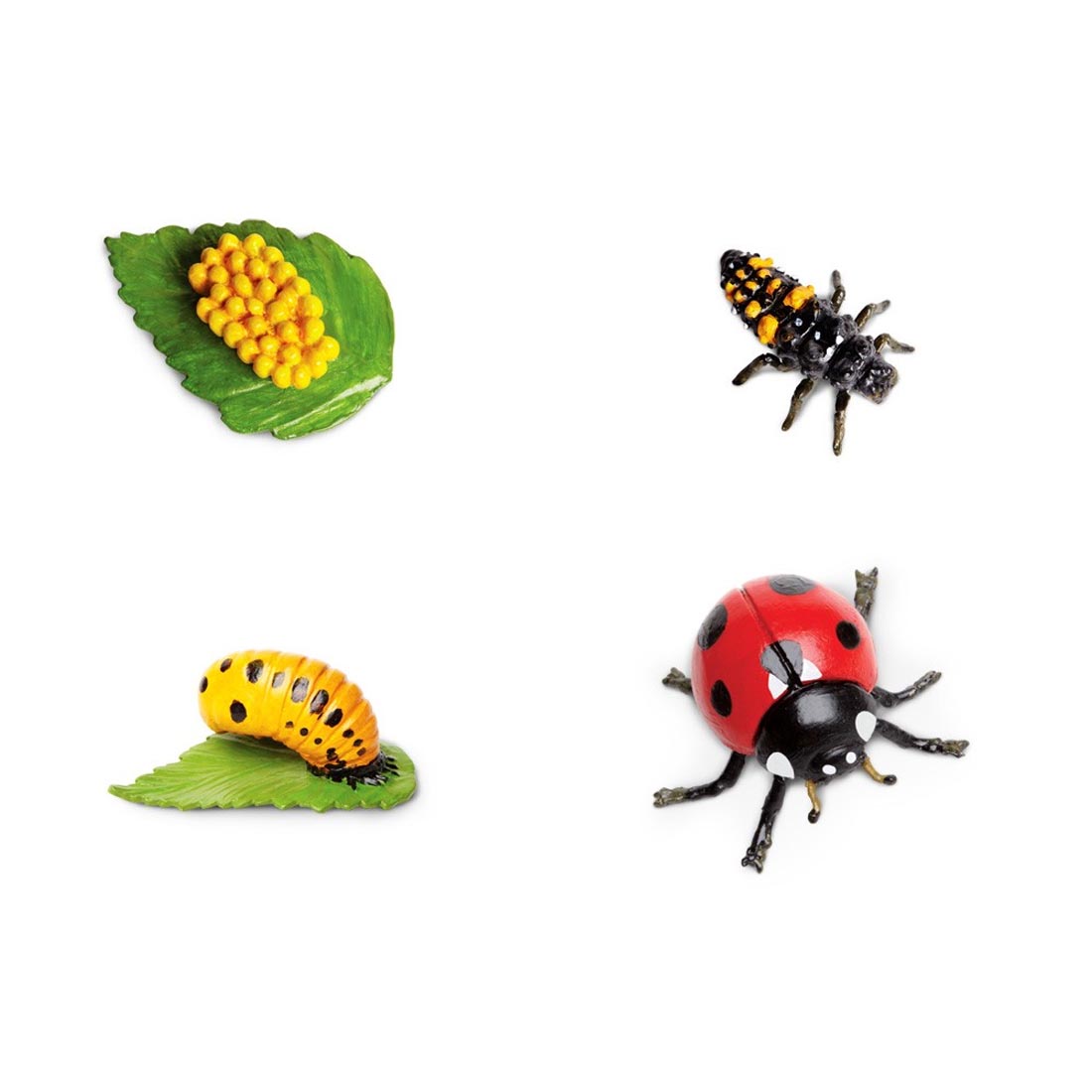 Four figurines to show the Life Cycle of a Ladybug