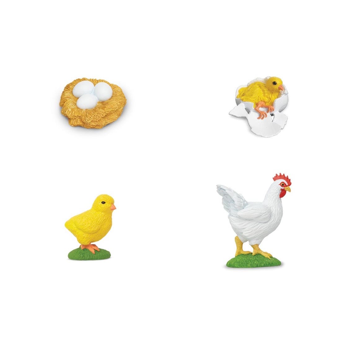 Four figurines to show the Life Cycle of a Chicken