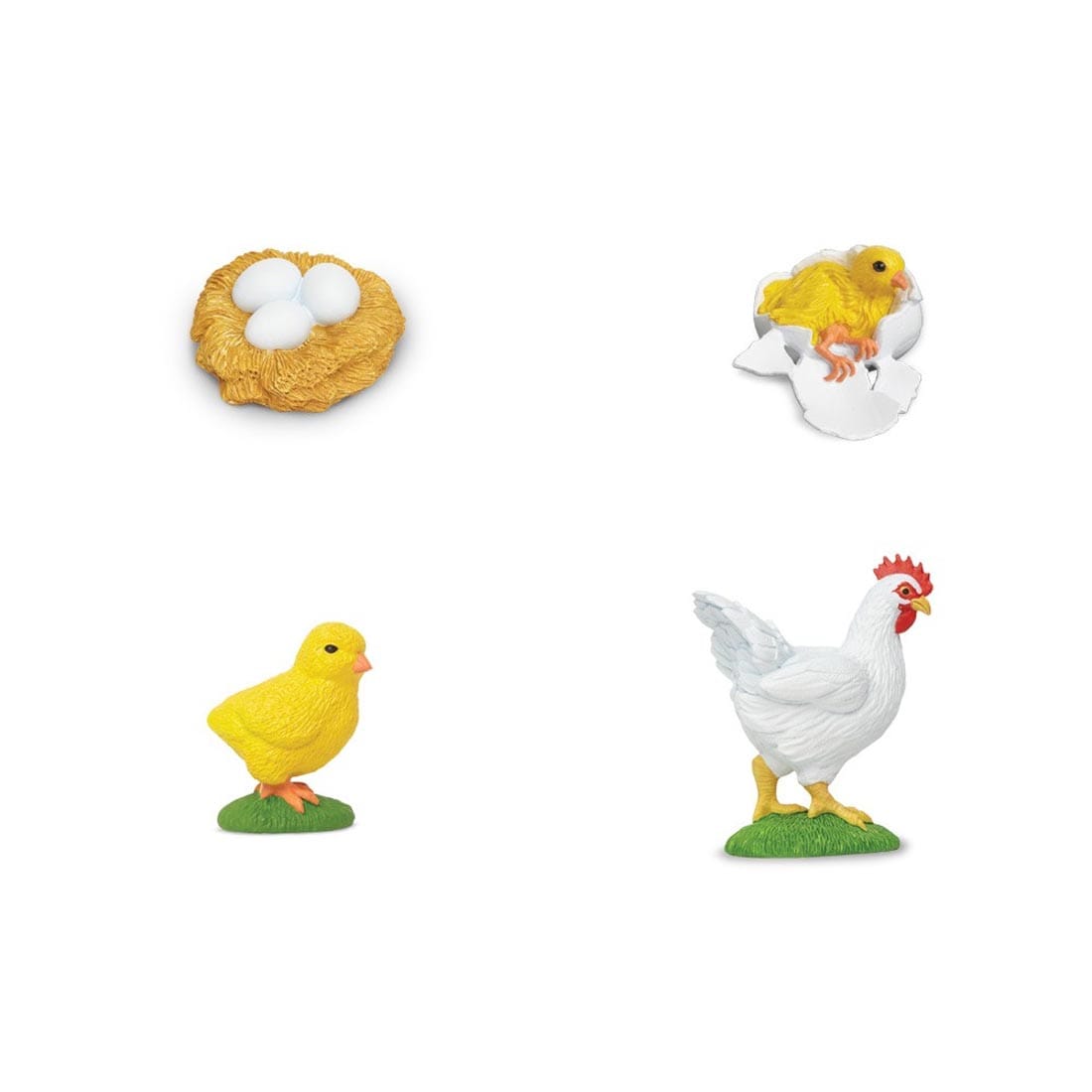 Four figurines to show the Life Cycle of a Chicken