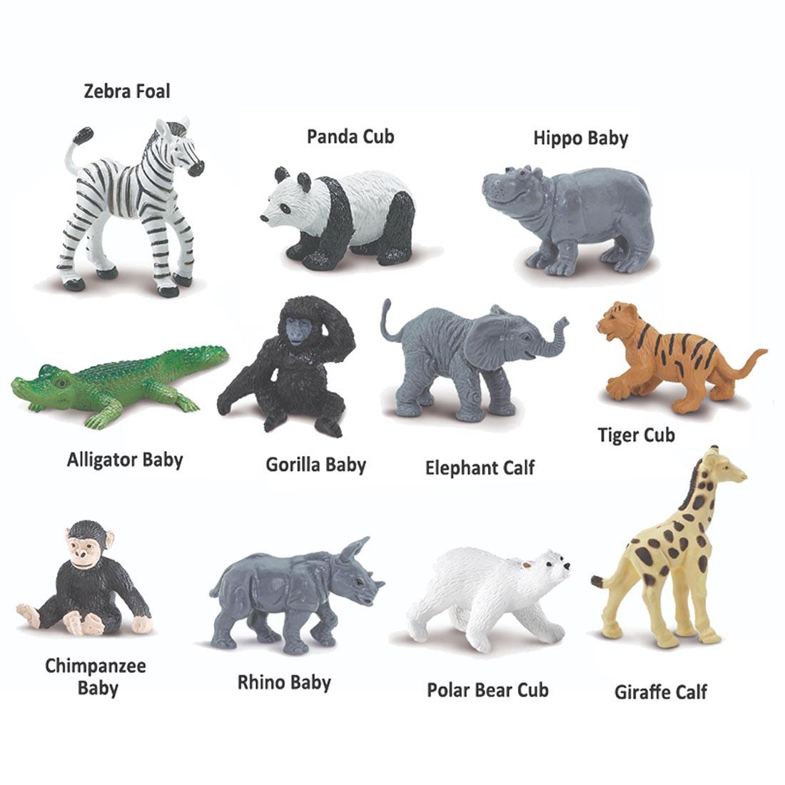 11 creatures from the Zoo Babies Figurine Set labeled with their names: zebra foal, panda cub, hippo, alligator, gorilla, elephant calf, tiger cub, chimpanzee, rhino, polar bear cub and giraffe calf