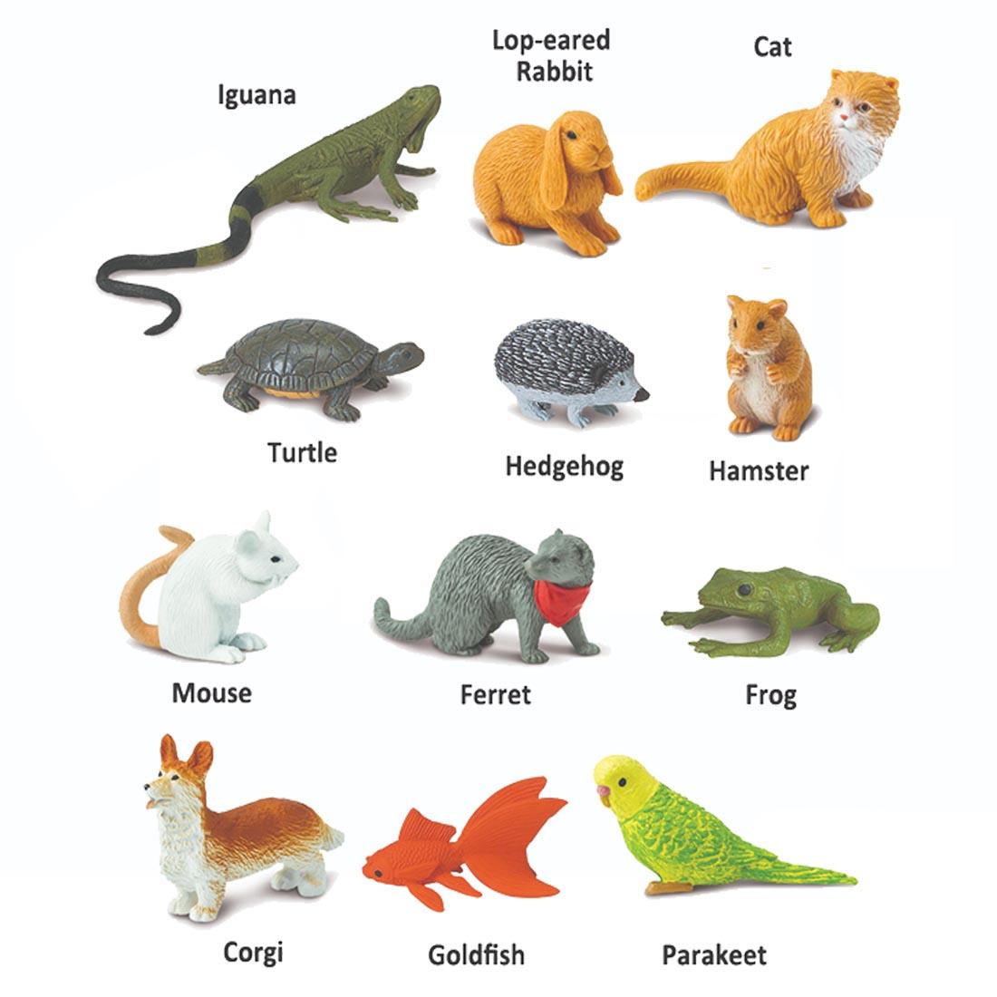 12 creatures from the Pets Figurine Set labeled with their names: iguana, lop-eared rabbit, cat, turtle, hedgehog, hamster, mouse, ferret, frog, corgi, goldfish and parakeet