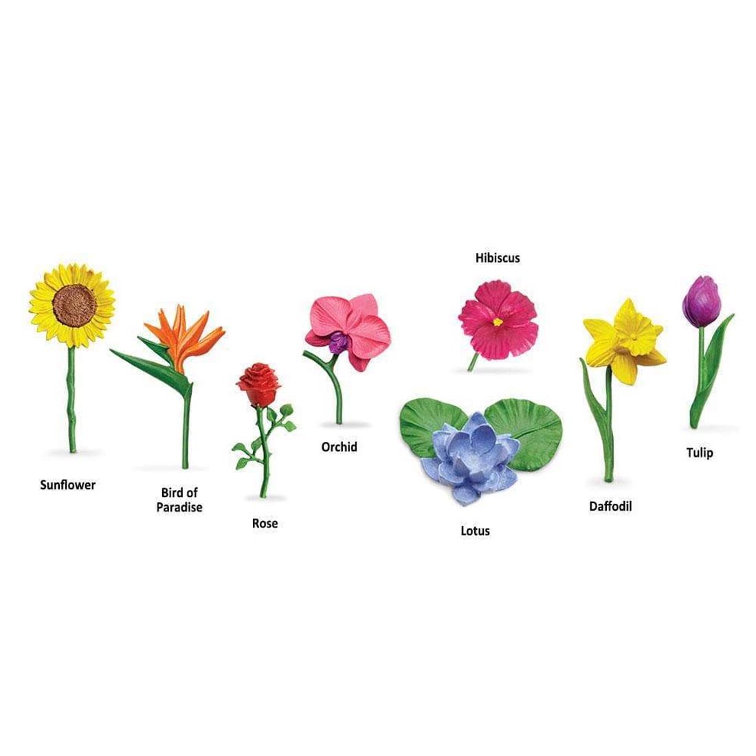 Flowers Toob Figurine Set, showing 8 different flowers and their names