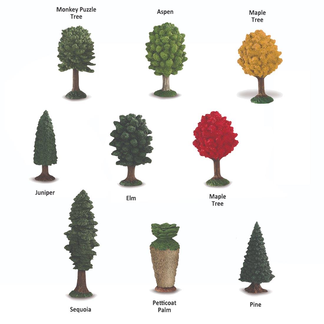 9 pieces from the Tree Figurine Set labeled with their names: monkey puzzle, aspen, juniper, elm, sequoia, petticoat palm, pine and maple with both red and yellow leaves