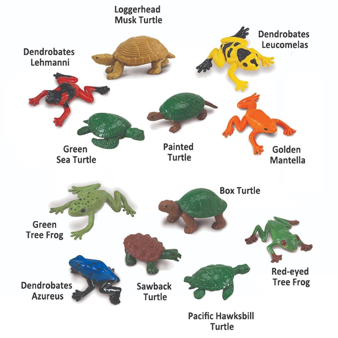 12 creatures from the Frogs & Turtles Figurine Set labeled with their names