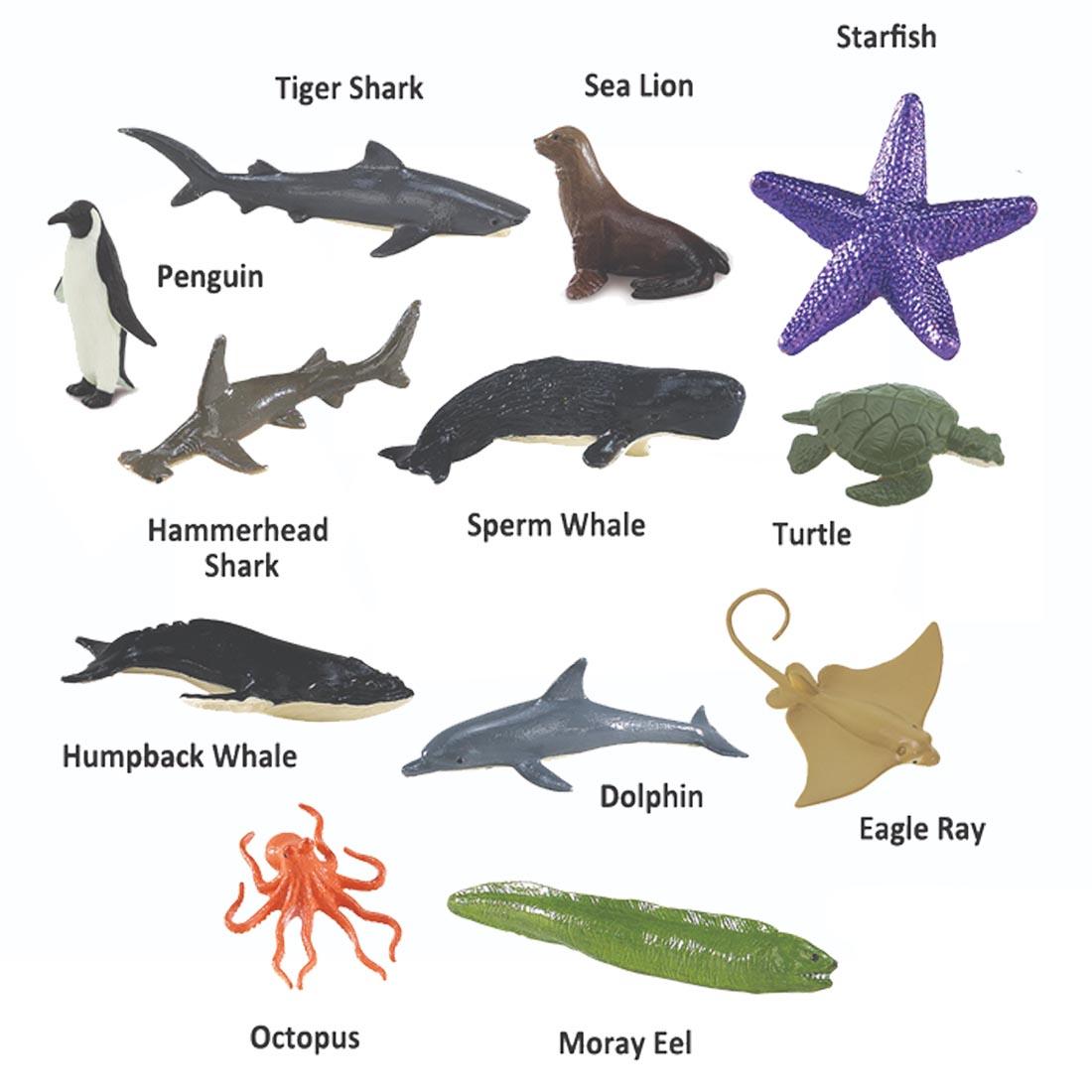 12 creatures from the Ocean Figurine Set labeled with their names: tiger shark, sea lion, starfish, penguin, hammerhead shark, sperm whale, turtle, humpback whale, dolphin, eagle ray, octopus, moray