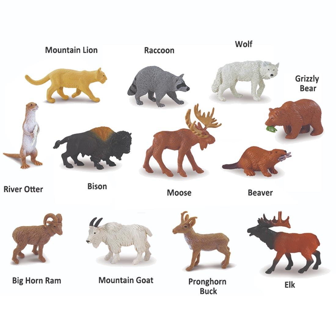 12 creatures from North American Wildlife Figurines labeled with their names: mountain lion, raccoon, wolf, grizzly bear, river otter, bison, moose, beaver, big horn ram, mountain goat, pronghorn buc
