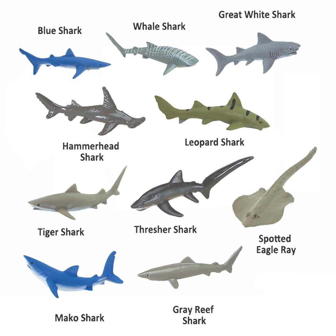 10 Shark Figurines labeled with their names: blue, whale, great white, hammerhead, leopard, tiger, thresher, mako, gray reef sharks and spotted eagle ray