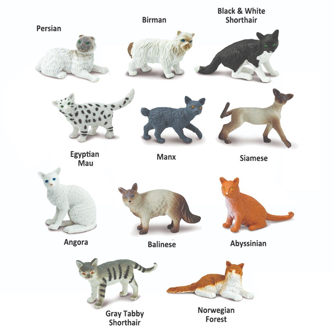 11 pieces from the Domestic Cats Figurine Set labeled with their names: Persian, Birman, Black & White Shorthair, Egyptian Mau, Manx, Siamese, Angora, Balinese, Abyssinian, Gray Tabby, Norwegian Fore