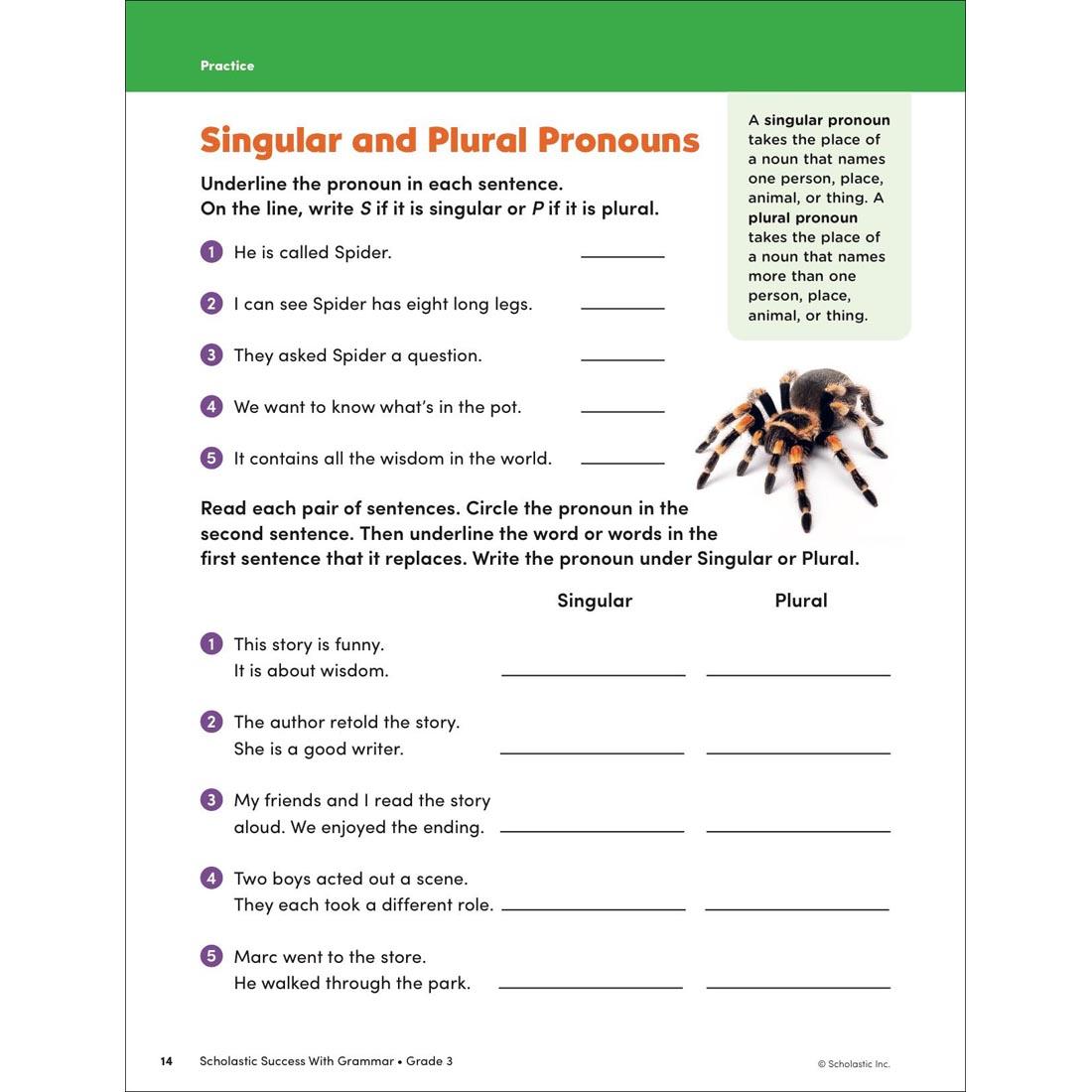 page 14 from Scholastic Success With Grammar Workbook Grade 3