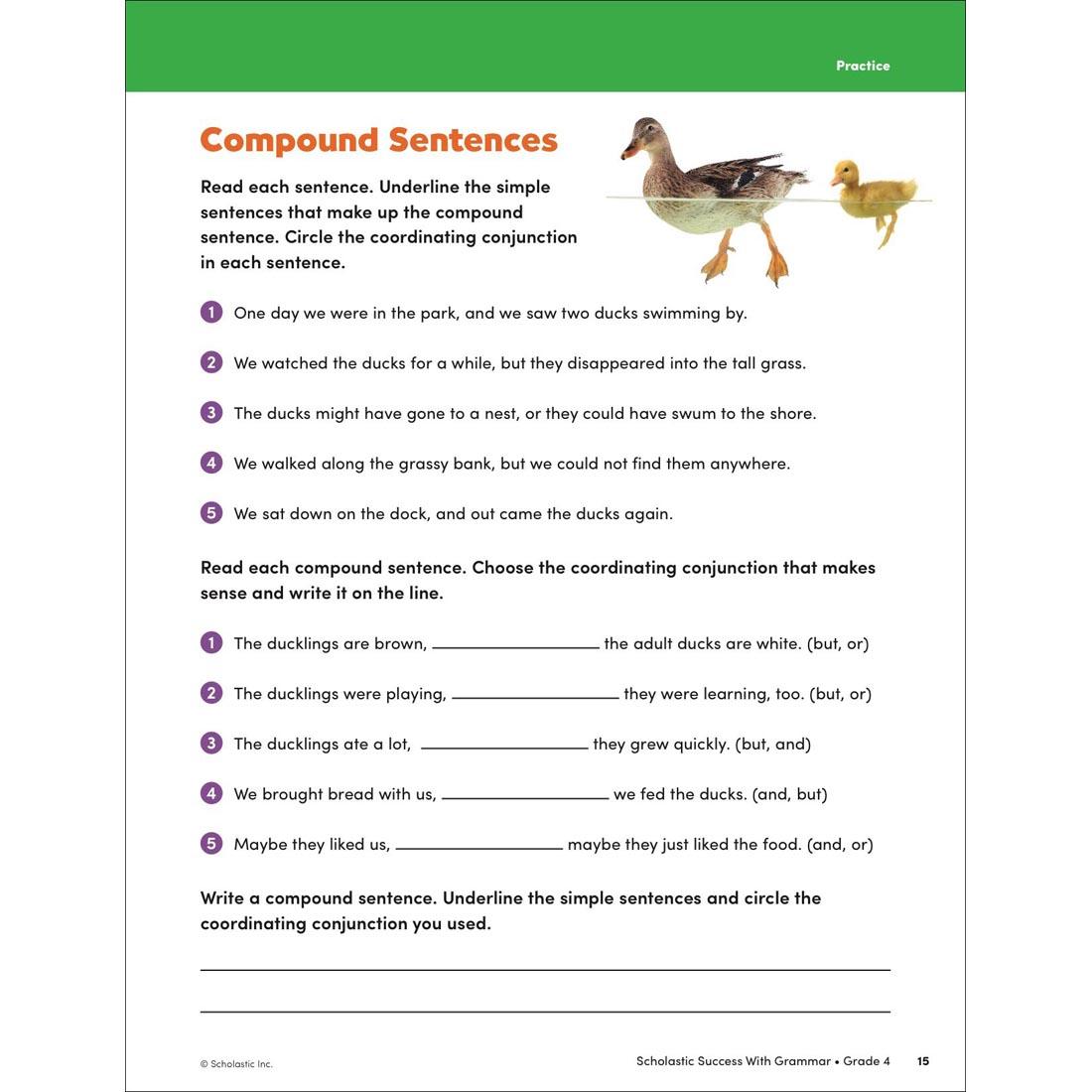 page 15 from Scholastic Success With Grammar Workbook Grade 4