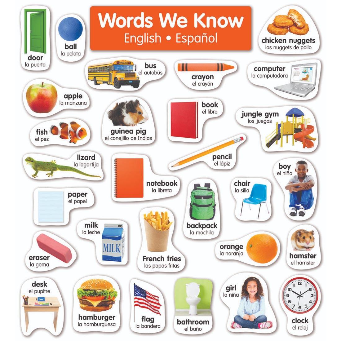 Words We Know English Spanish Photo Word Wall Bulletin Board Set