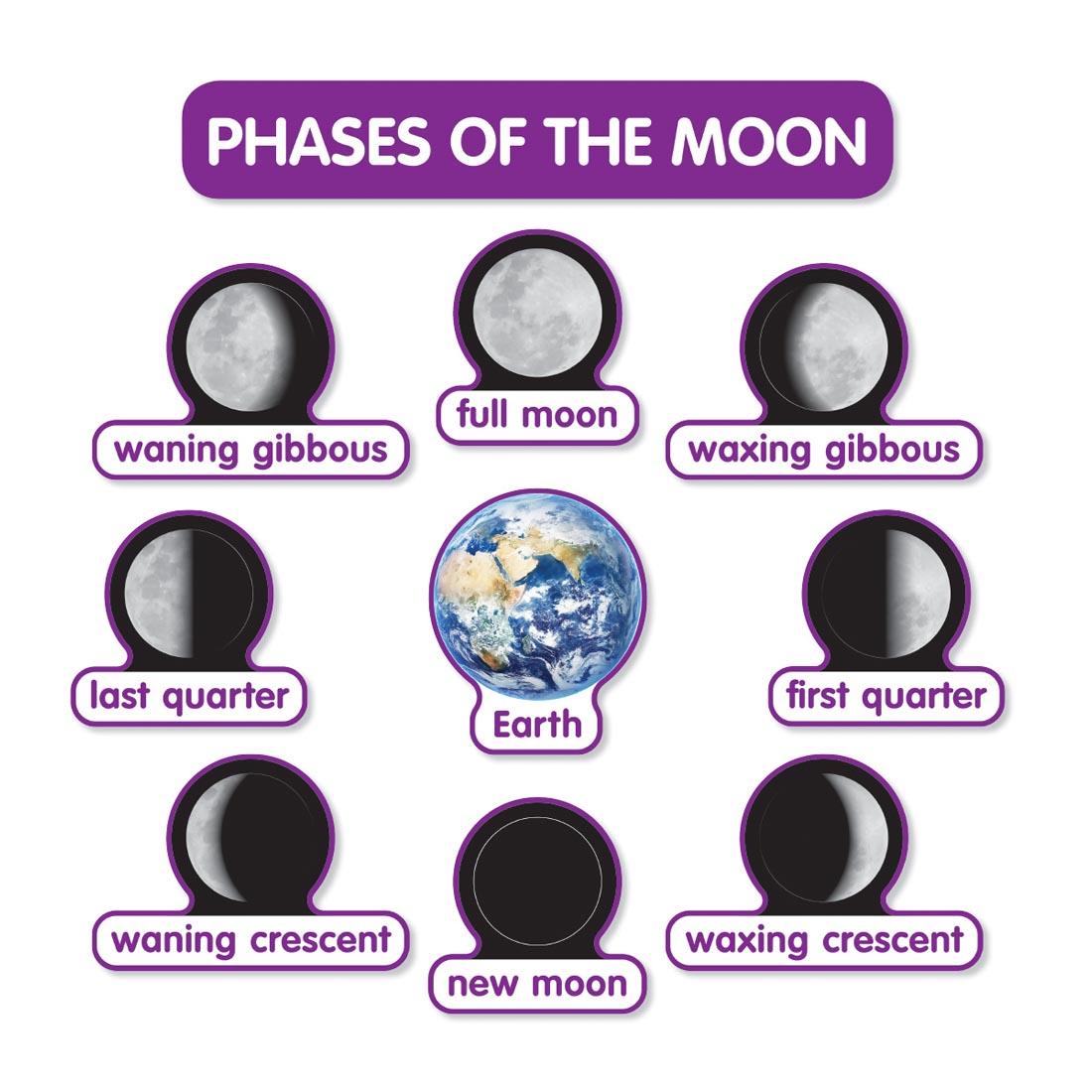 Phases of the Moon from the Early Science Concepts Bulletin Board Set by Scholastic