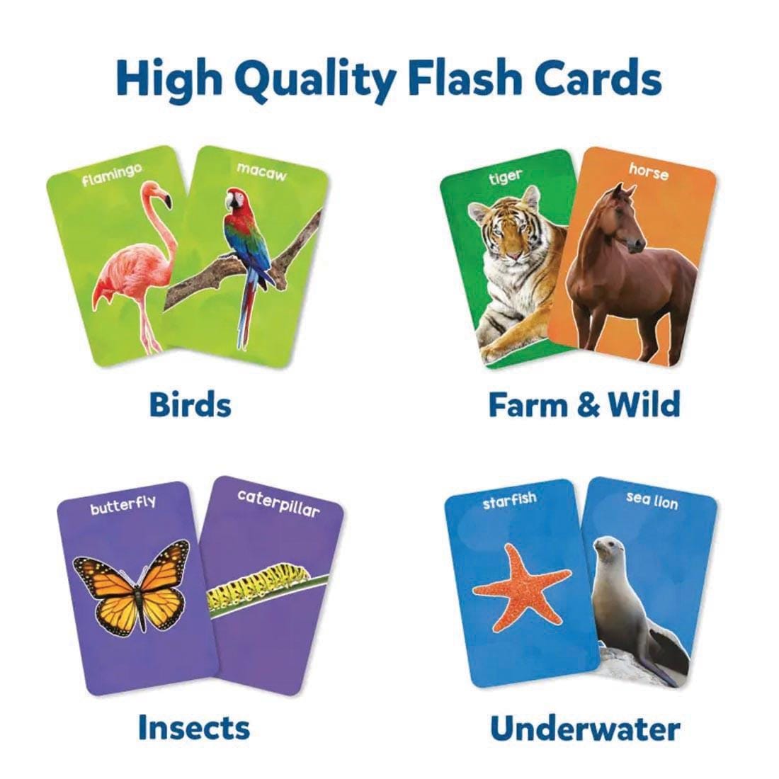 samples of First 100 Animals Flash Cards with text High Quality Flash Cards; Birds; Farm & Wild; Insects; Underwater