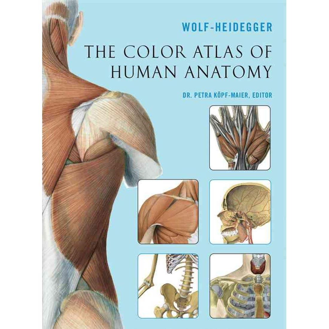 The Color Atlas of Human Anatomy