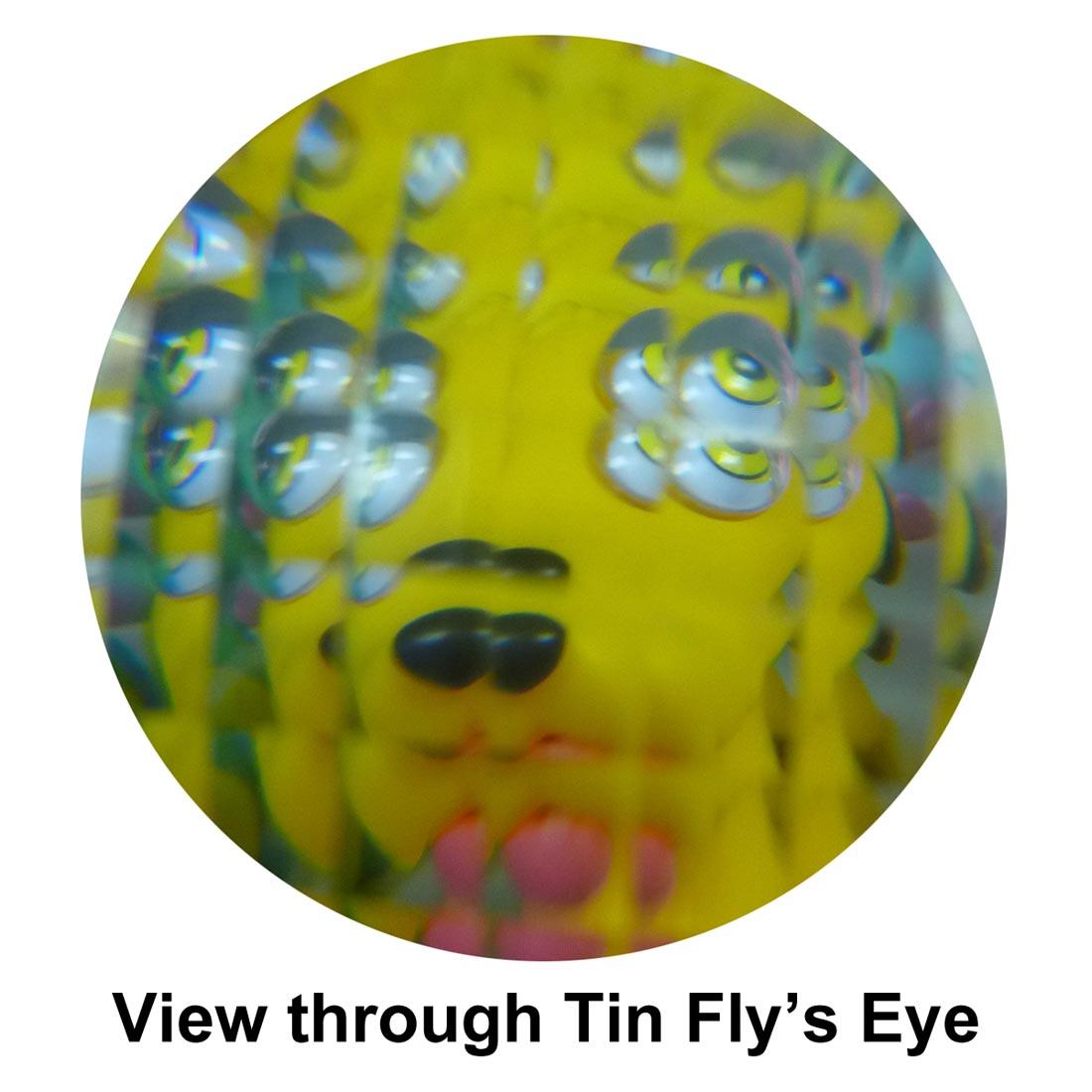 Tin Fly's Eye Toy with the text View through Tin Fly's Eye