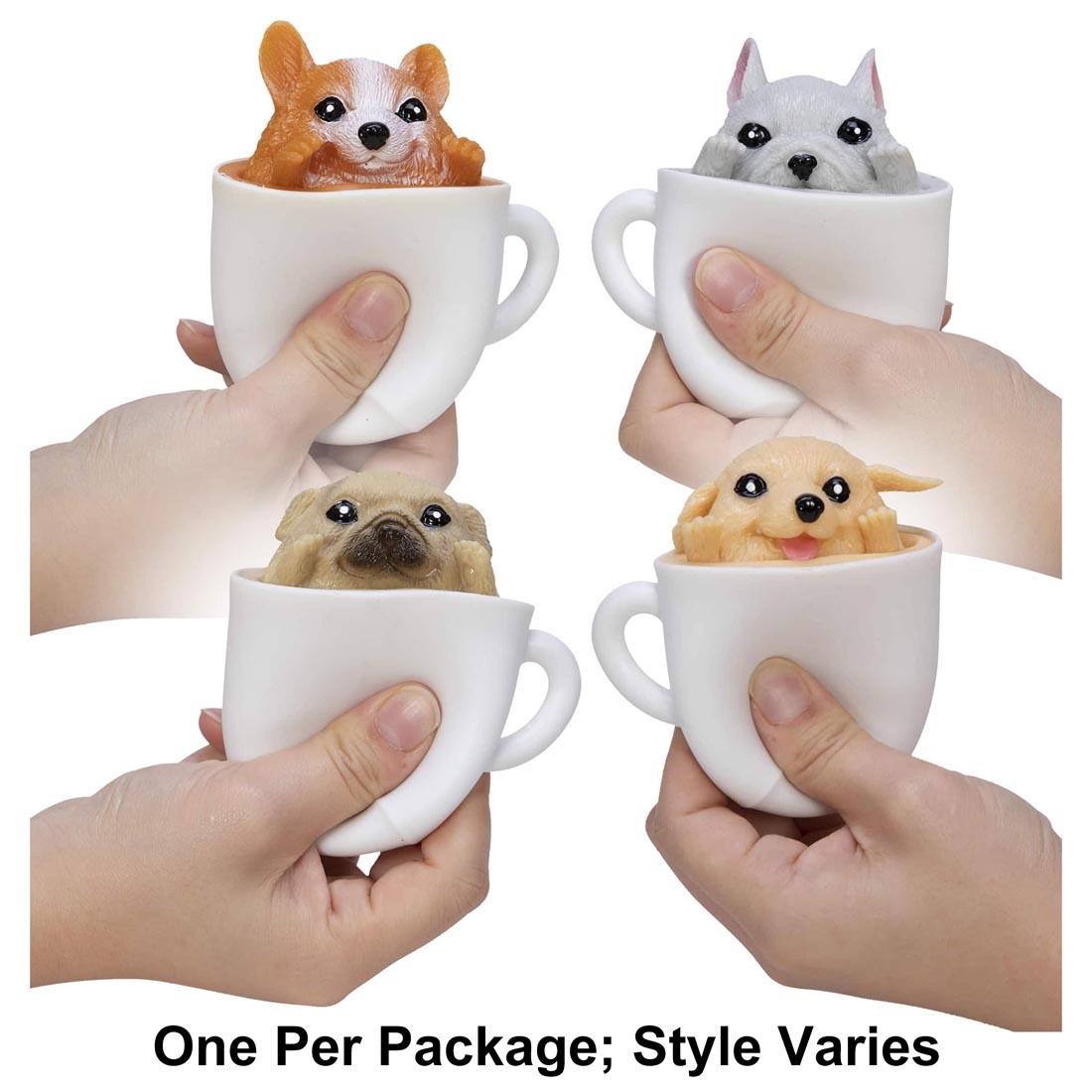 Four hands holding four different Pup In A Cup Squishy Toy with the text One Per Package; Style Varies