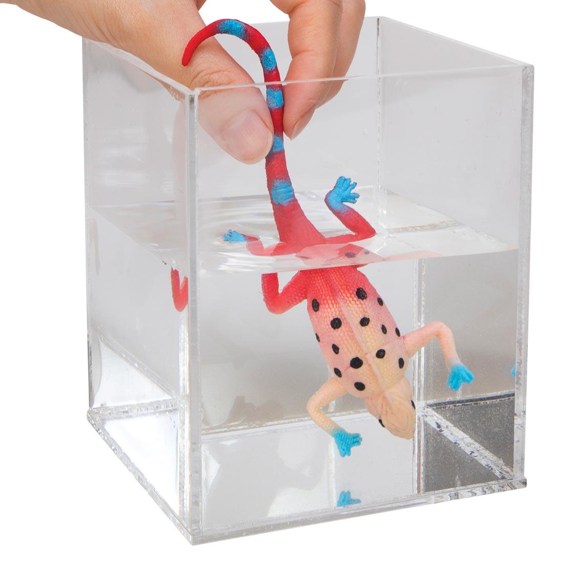 hand immersing a Color Change Revealeon toy in a container of water