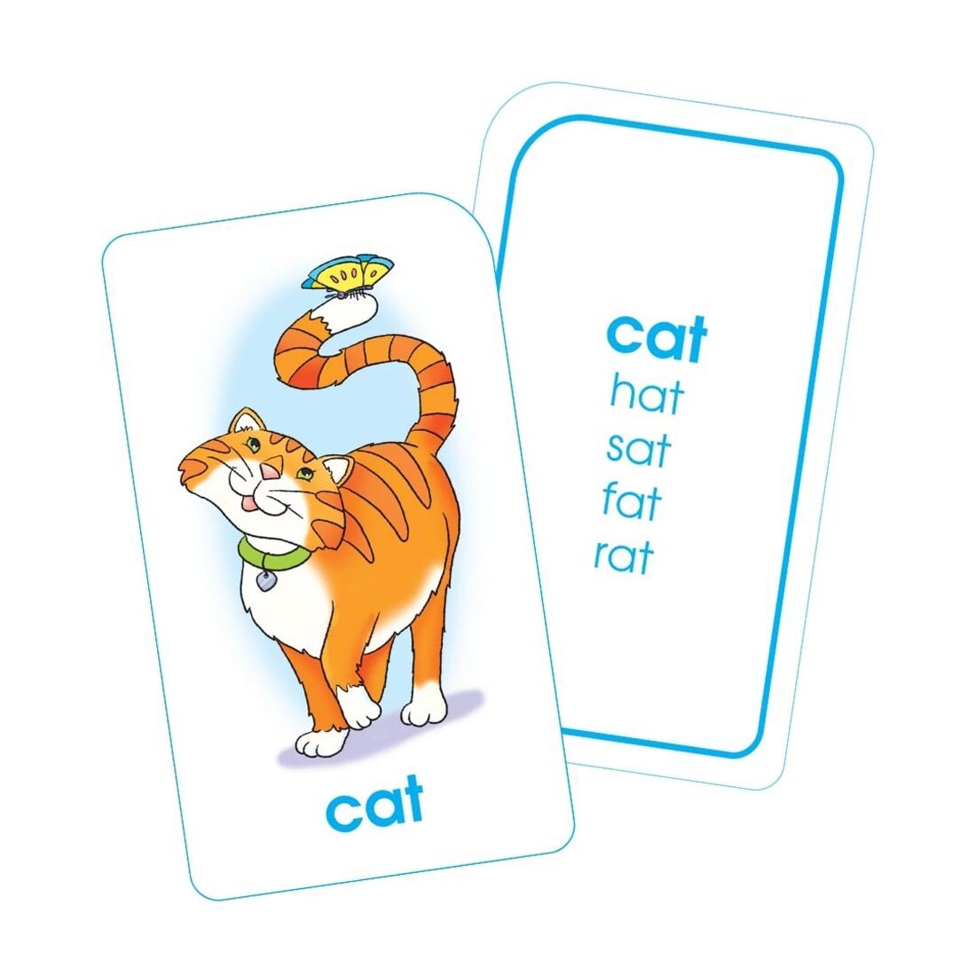 Sample double-sided word family flash card from School Zone Word Families Flash Cards