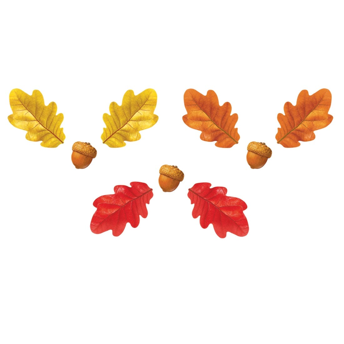 TREND Fall Oak Leaves & Acorns Classic Accents