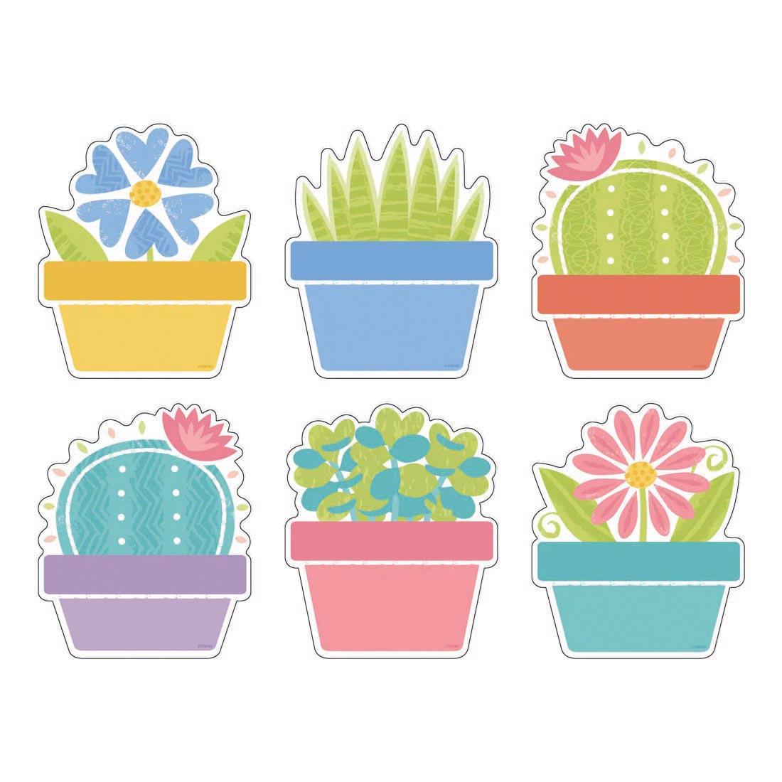 Garden Plants Classic Accents Variety Pack from the Good To Grow collection by TREND