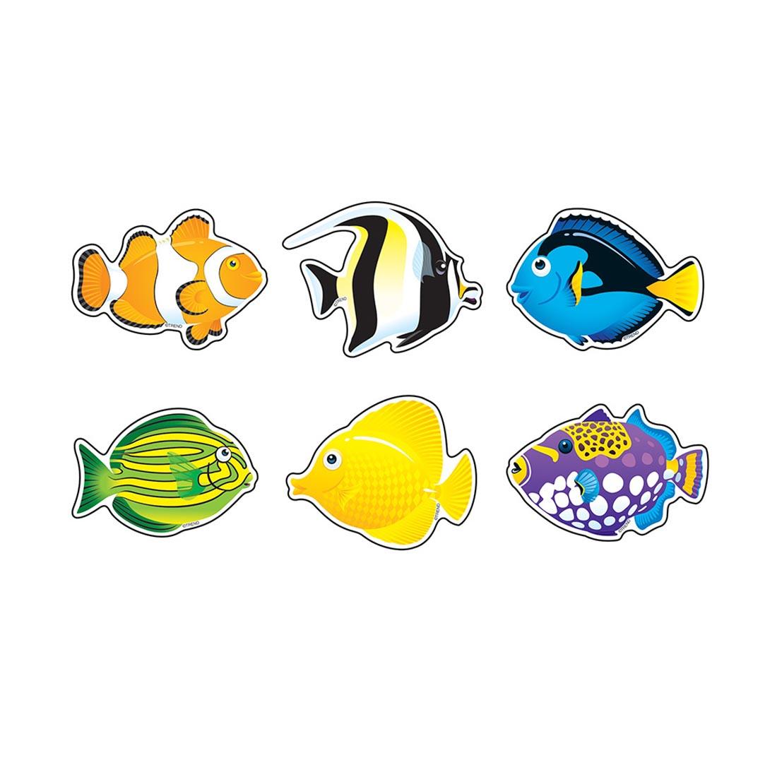 Six TREND Fish Mini Accents