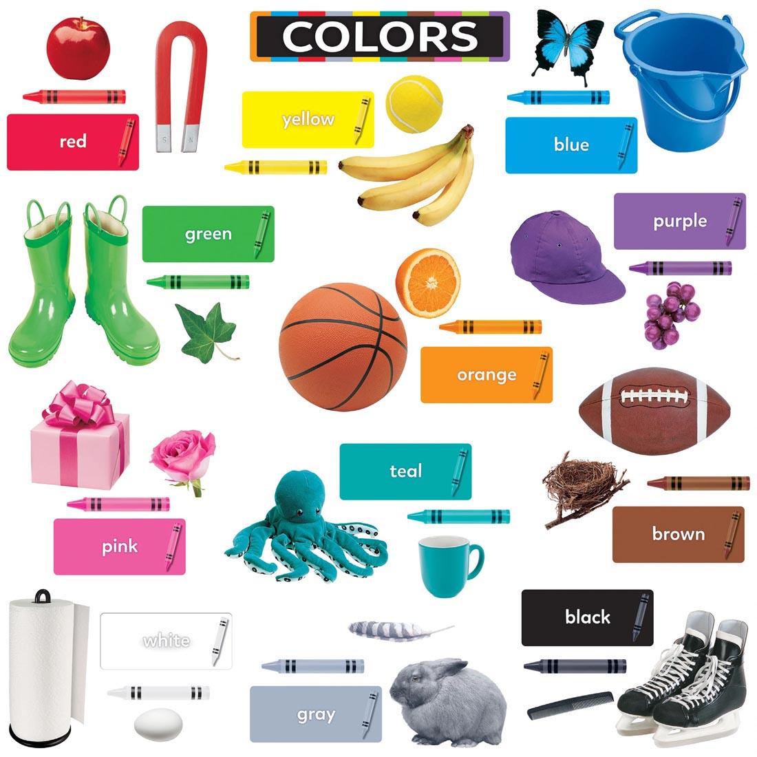 TREND Colors All Around Us Learning Set