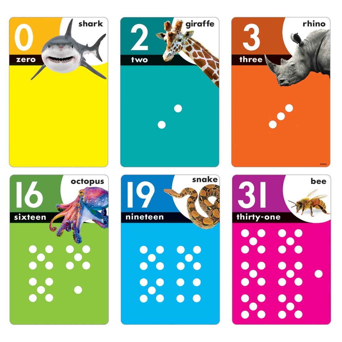 6 cards from the TREND Animals Count 0-31 Learning Set