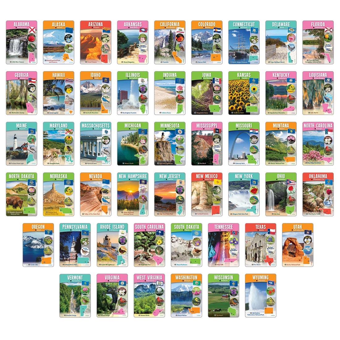 50 state pieces from the TREND The United States Wipe-Off Learning Set