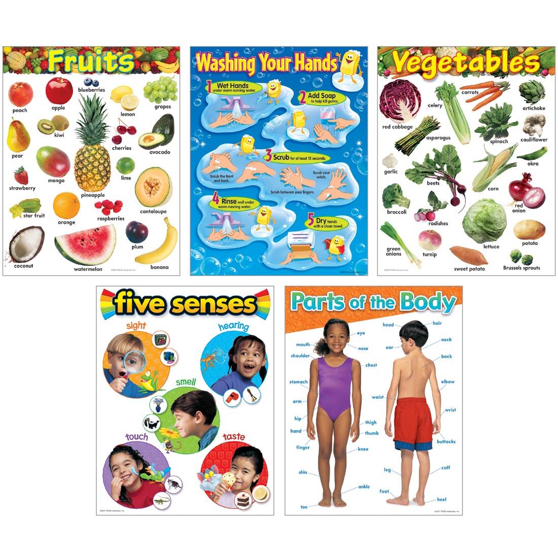 TREND Healthy Living Learning Charts include Fruits, Washing Your Hands, Vegetables, Five Senses and Parts of the Body