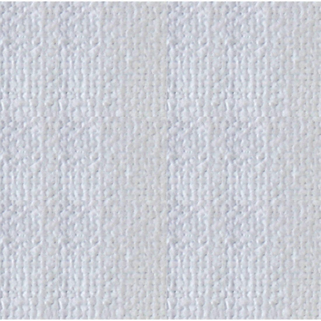 Fabric swatch from the Fredrix Scholastic Primed 9 oz. Canvas Roll