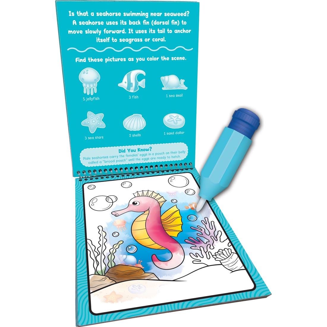 water pen hovering over a page of the Ocean Life Water Reveal By Teacher Created Resources