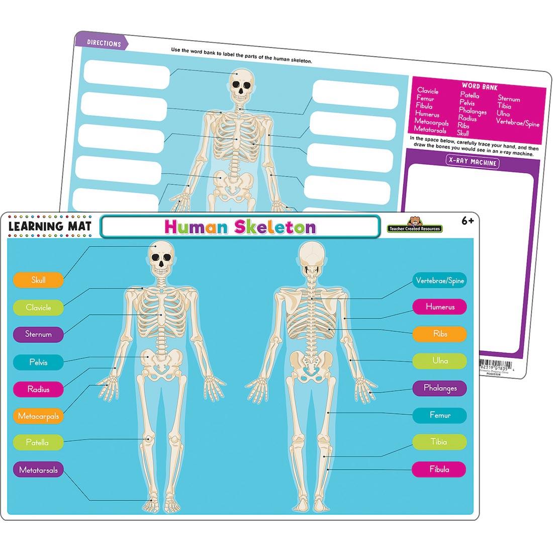 front and back of Human Skeleton Learning Mat By Teacher Created Resources