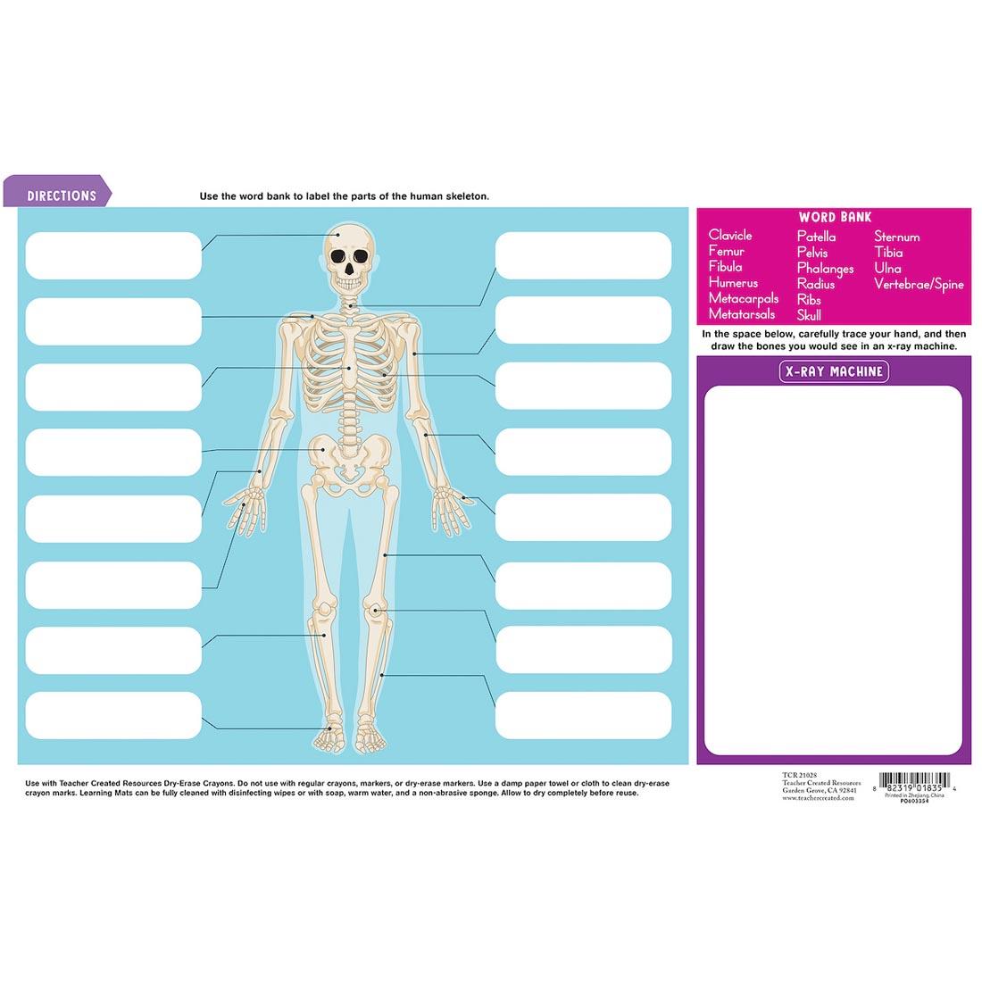 back of Human Skeleton Learning Mat By Teacher Created Resources