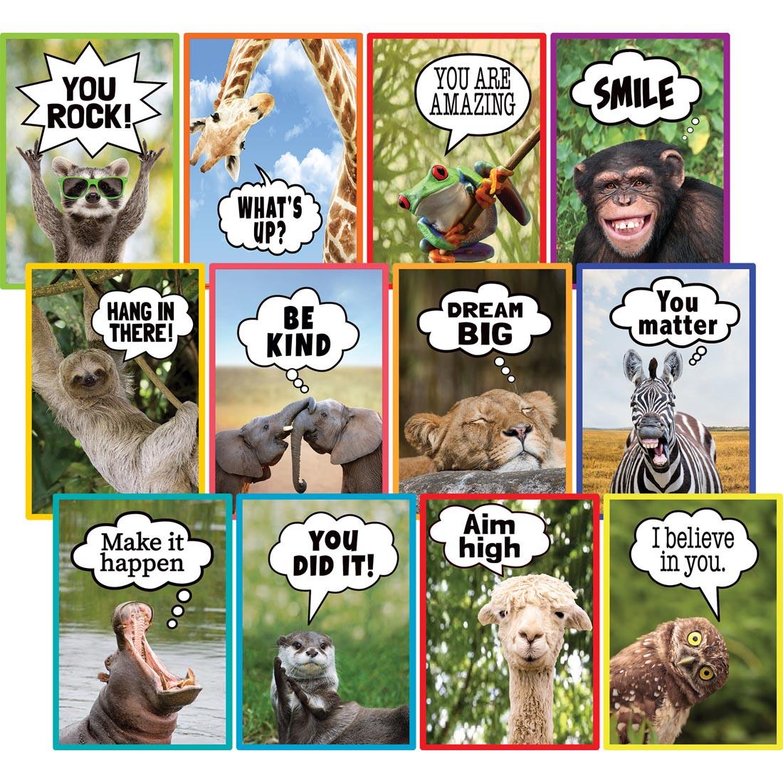 Small Poster Pack from the Go Wild Animals collection by Teacher Created Resources
