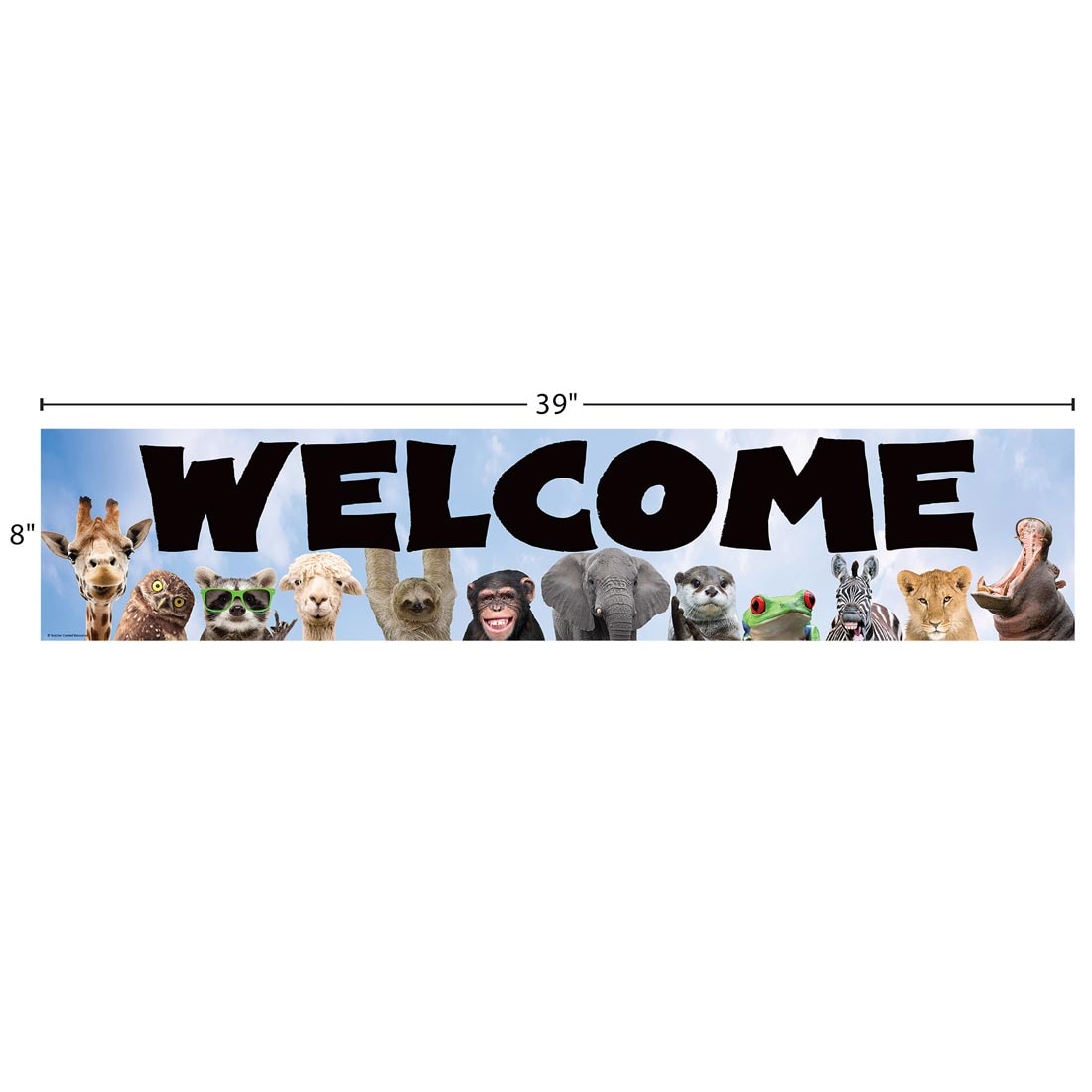 Welcome Banner from the Go Wild Animals collection by Teacher Created Resources