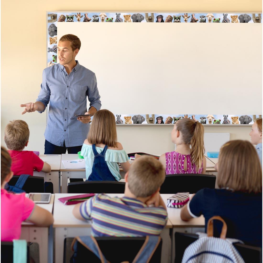adult in a classroom in front of a board decorated with Straight Border Trim from the Go Wild Animals collection by Teacher Created Resources