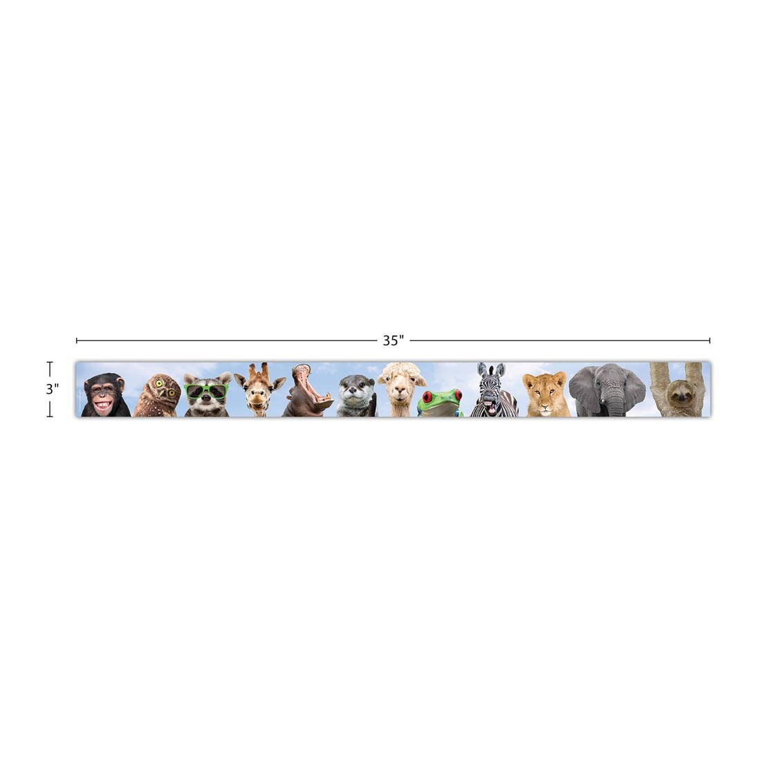 strip of Straight Border Trim from the Go Wild Animals collection by Teacher Created Resources labeled with measurements 35" x 3"