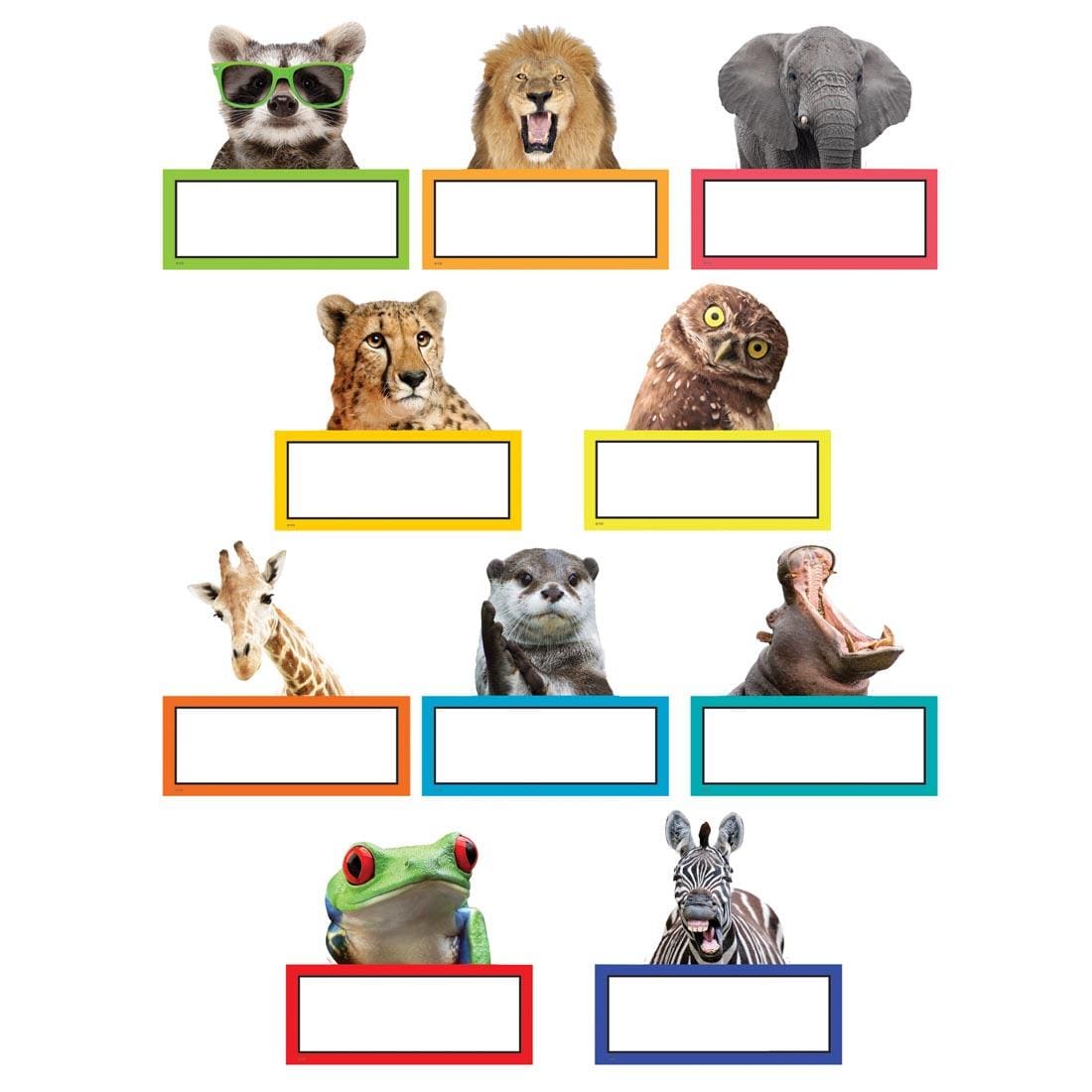 Accents from the Go Wild Animals collection by Teacher Created Resources