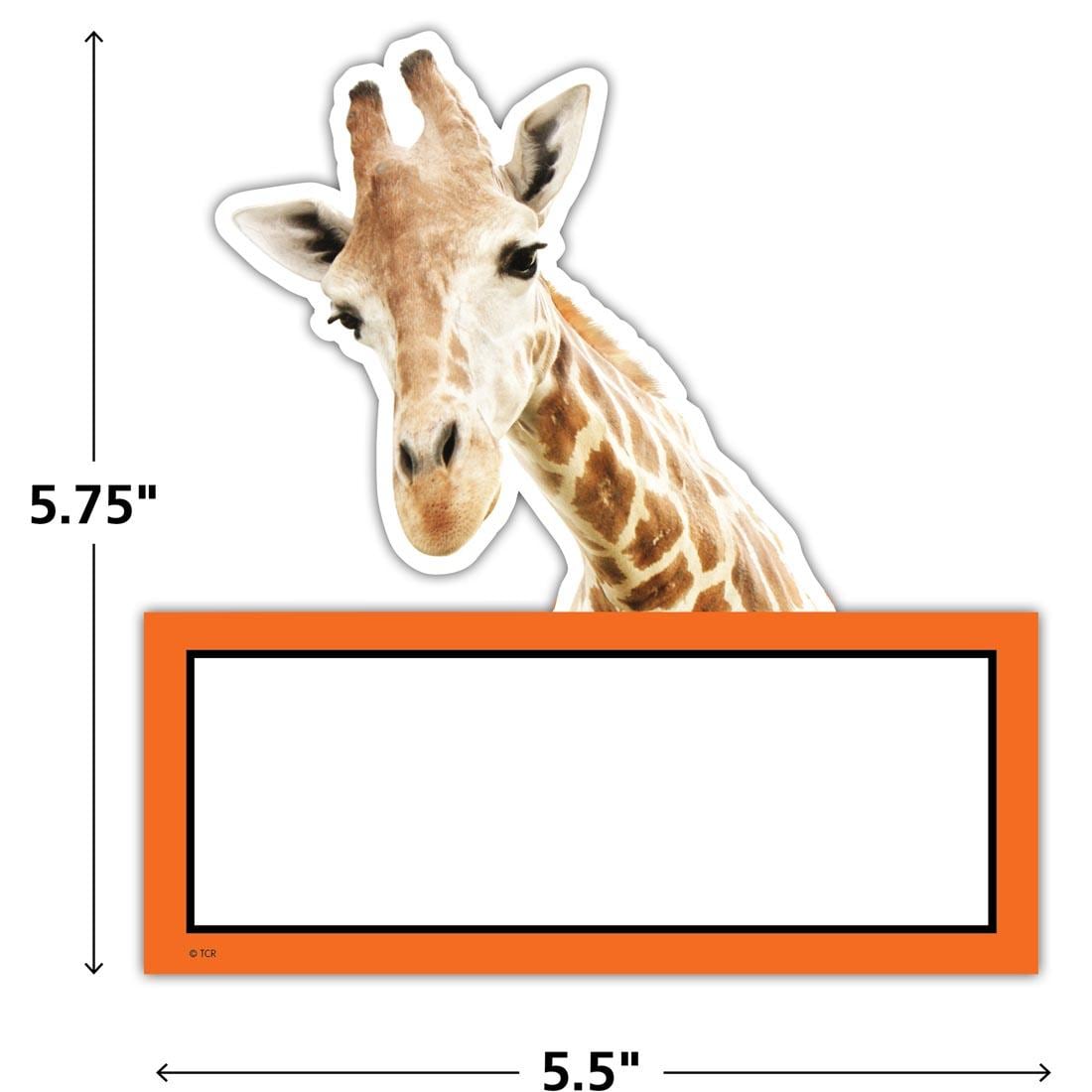 the giraffe Accent from the Go Wild Animals collection by Teacher Created Resources labeled with the measurements 5.75" x 5.5"