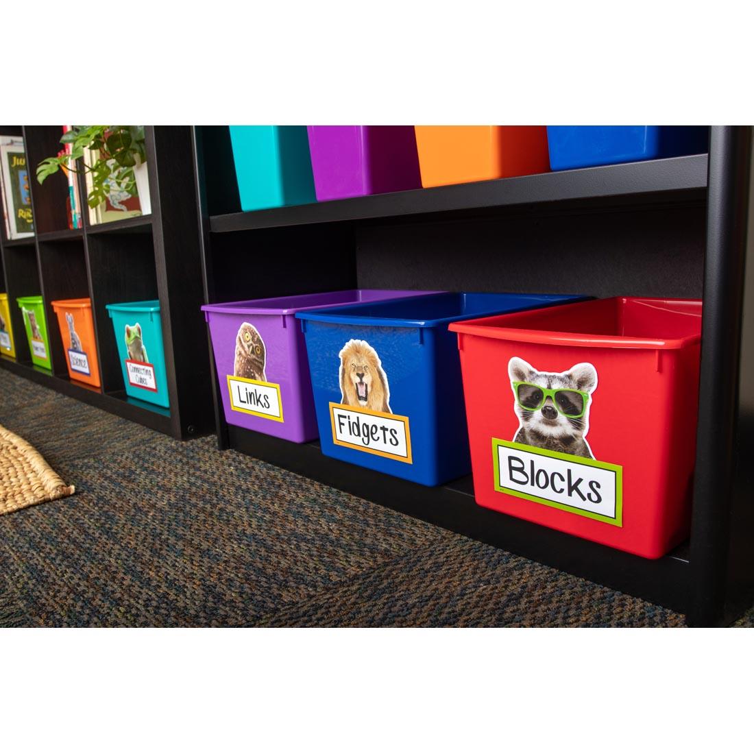 cubby bins labeled with Accents from the Go Wild Animals collection by Teacher Created Resources