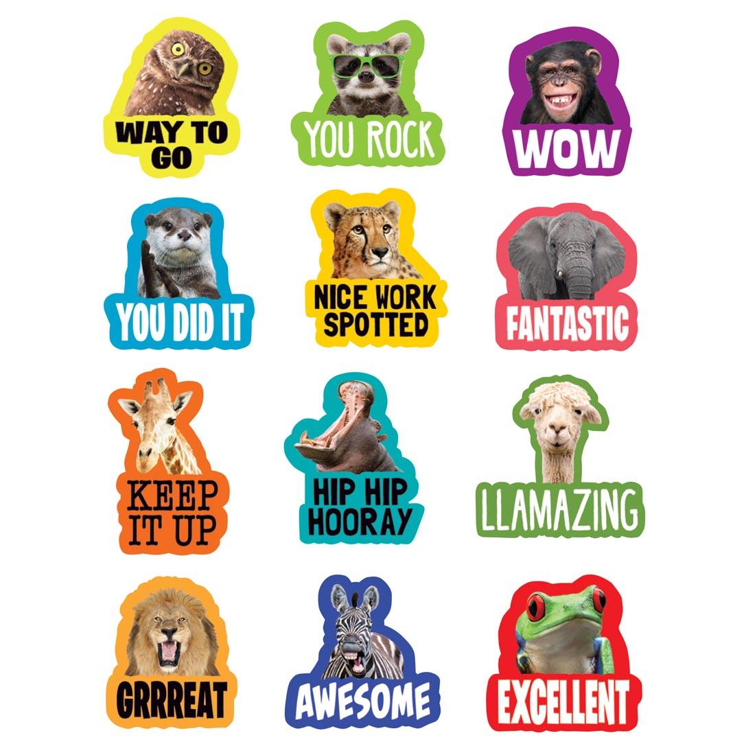 Stickers from the Go Wild Animals collection by Teacher Created Resources