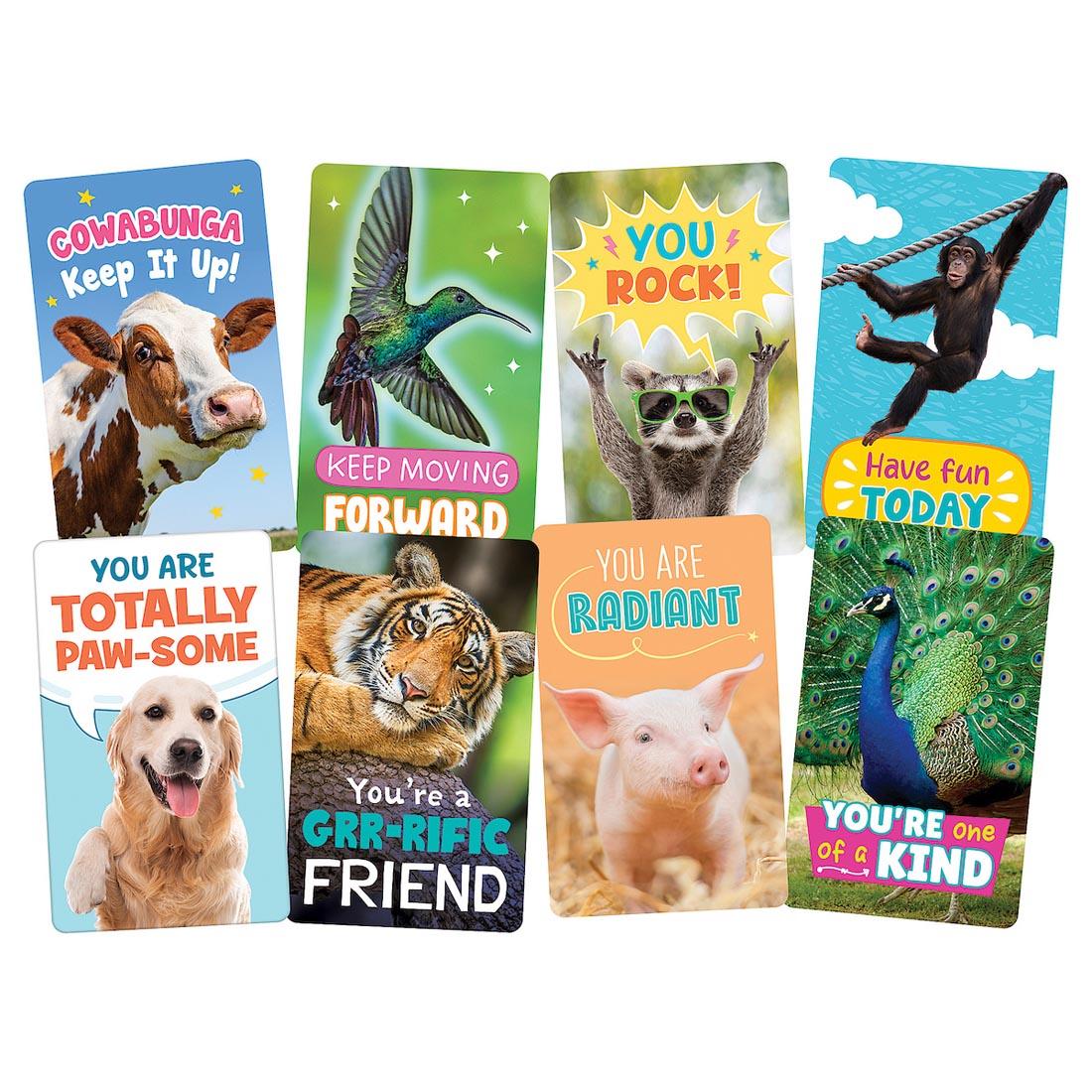 8 Encouragement Cards from the Go Wild Animals collection by Teacher Created Resources