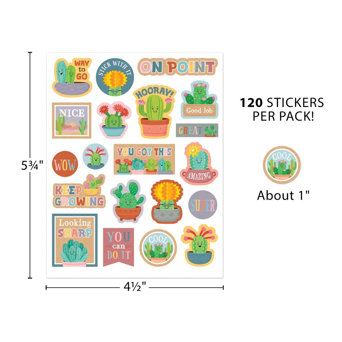 Sheet of Stickers from the Happy Cactus Crew collection By Teacher Created Resources labeled with measurements 5-3/4" and 4-1/2"; plus text 120 stickers per pack! and a single sticker with text About