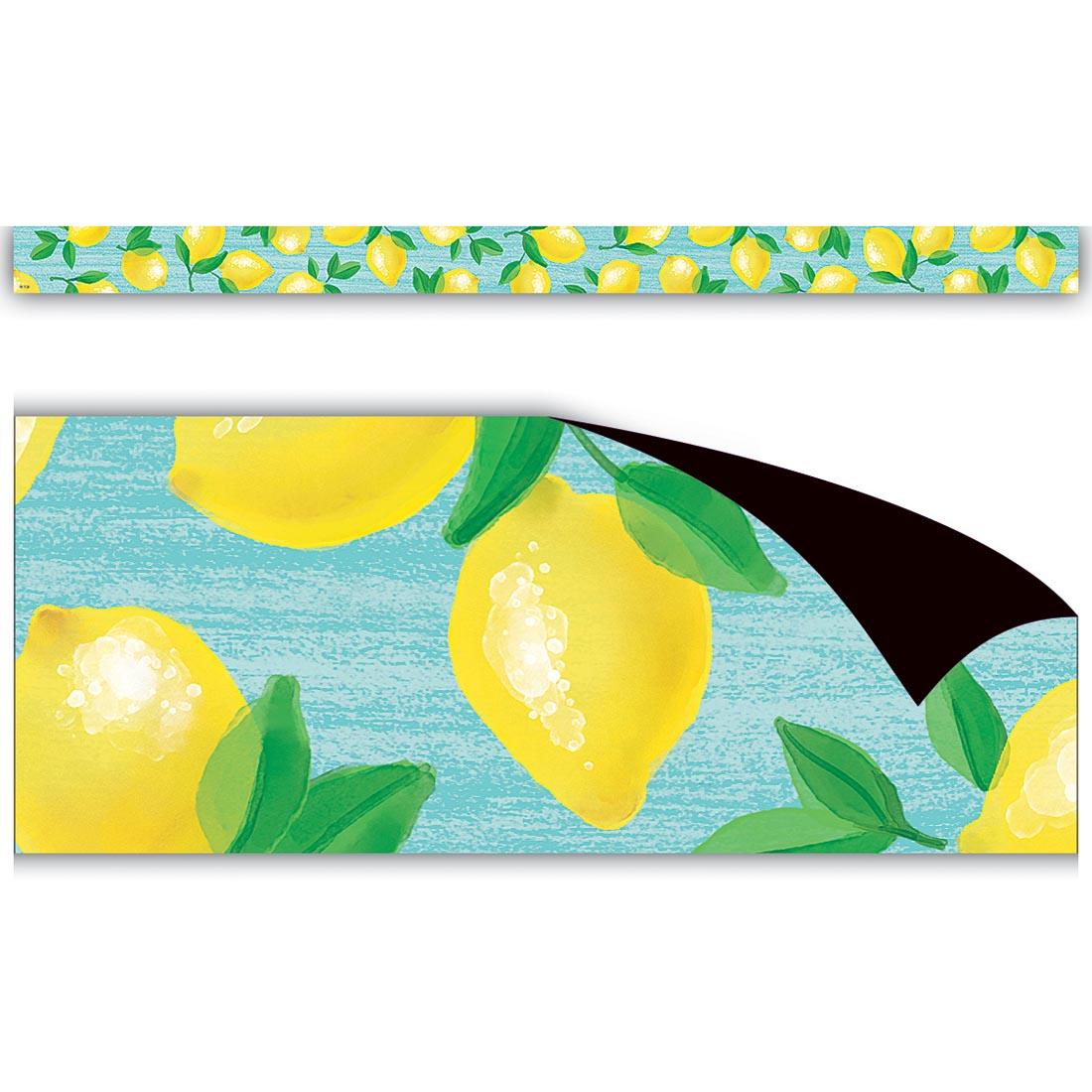 Full view and closeup of the Magnetic Border from the Lemon Zest collection by Teacher Created Resources