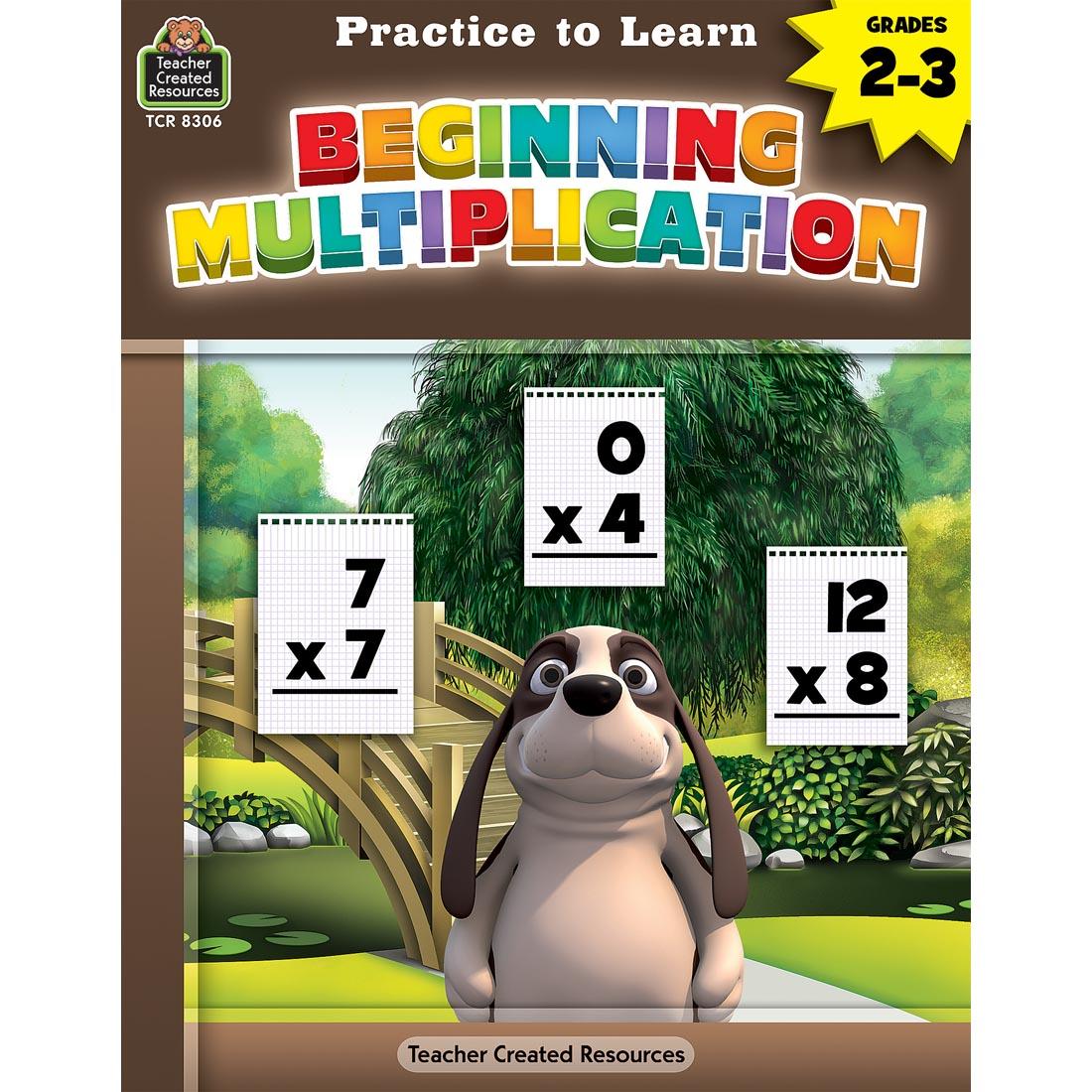 Practice to Learn Workbook Beginning Multiplication