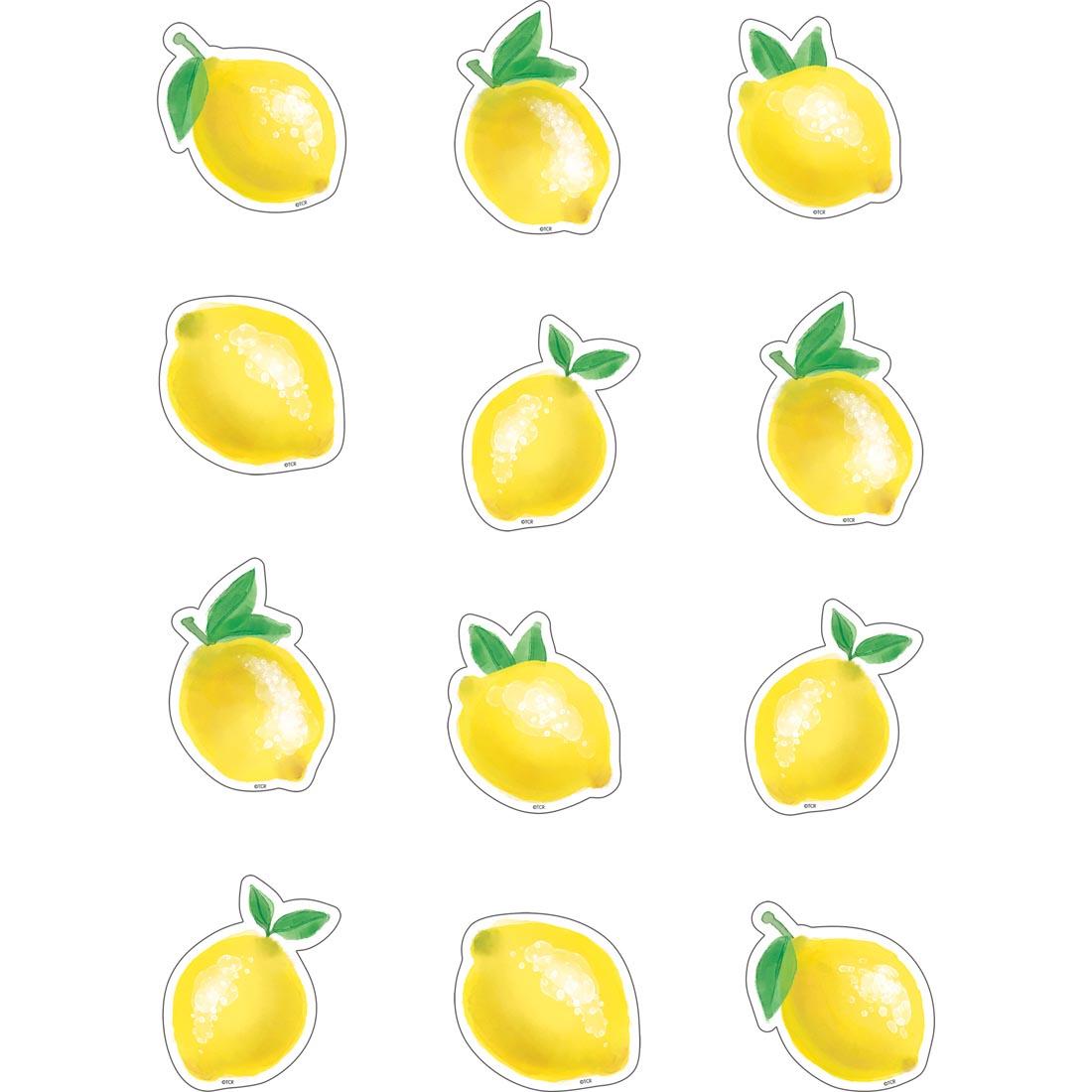 Mini Accents from the Lemon Zest collection by Teacher Created Resources
