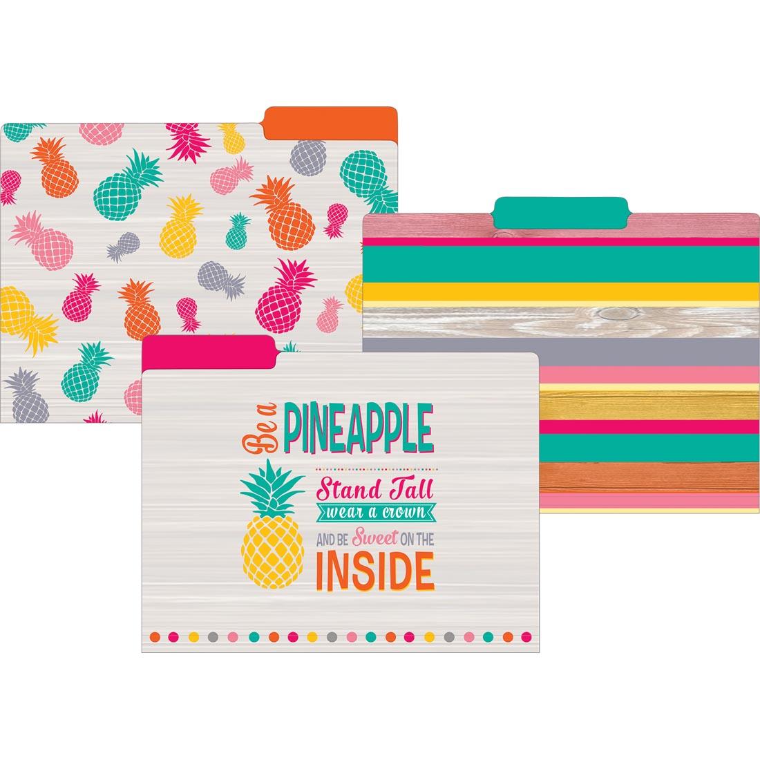 Tropical Punch File Folders by Teacher Created Resources